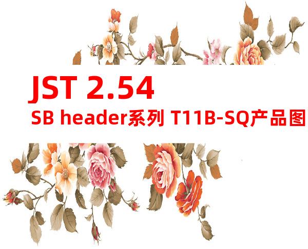 JST 2.54SB header系列 T11B-SQ产品图纸